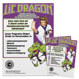 Lil´Dragon Flyer standard 3