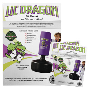 Lil´Dragon Flyer standard 4