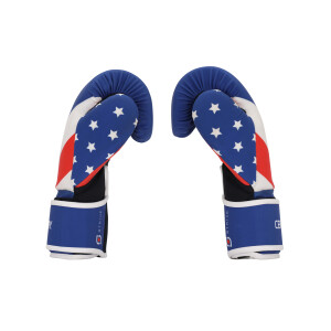 Strive Waschbare Boxhandschuhe USA Flag